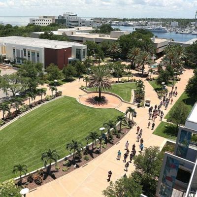 Parent of University of South Florida Student